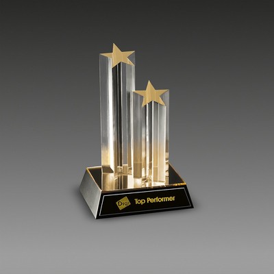 Double Star Column™ Award