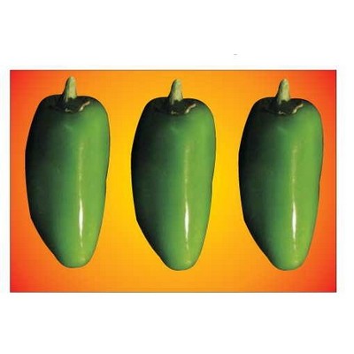 Jalapeno Rectangle Metal Photo Magnet (2"x3")