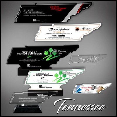 9" Tennessee Black Budget Acrylic Award