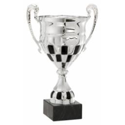 Medium Racing Cup Award