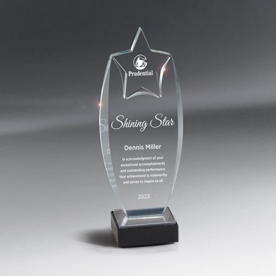 Acrylic Rising Star Award, Med