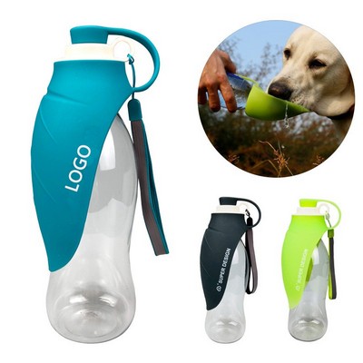 20 Oz. Pet Water Bottle