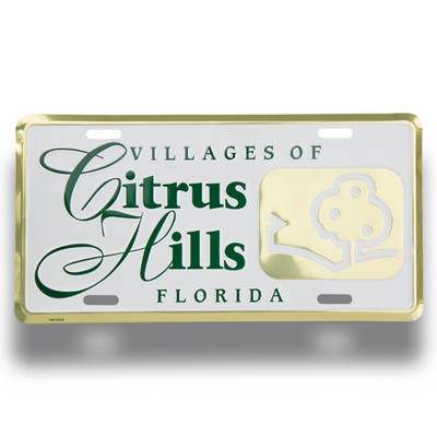 Gold/ Silver Deluxe Custom Embossed Auto License Plate (6"x12")