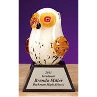 4.5" Glass Owl Award