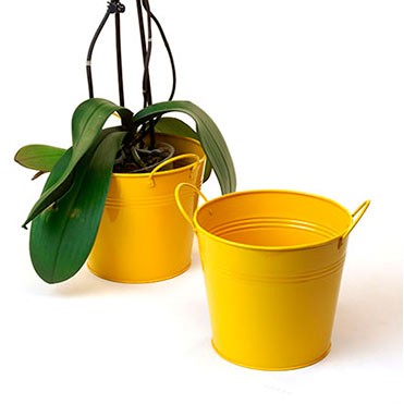 6 1/2" Goldenrod Painted Pail w/Side Handles