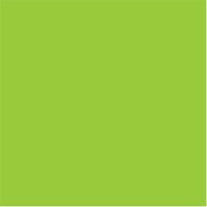 Fluorescent Green Square Labels - 4" x 4"