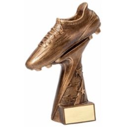 Small Soccer Shoe Award