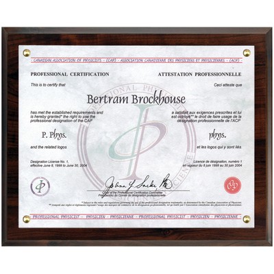 Certificate Holder (Recessed) - Cherrywood, 10"x1"