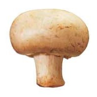 Mushroom Lapel Pin