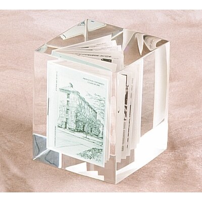 Lucite Block Embedment (2 1/2"x2 1/2"x3")