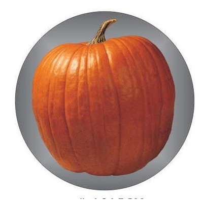 Pumpkin Round Metal Photo Magnet (2 1/2")