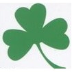 Shamrock Stock Temporary Tattoo