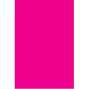 Fluorescent Pink Rectangle Labels - 4" x 6"