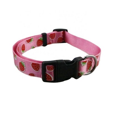 5/8"W x 14"L Polyester Heavy-duty Dog Collar w/ Buckle Release