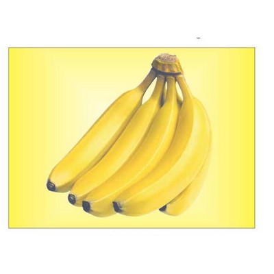 Bananas Metal Photo Magnet (2 1/2"x3 1/2")