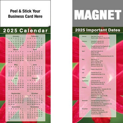 Peel & Stick Full Color Calendar Magnet (3 1/2"x8 1/2")