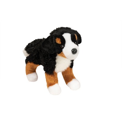 Miranda Bernese Mountain Dog