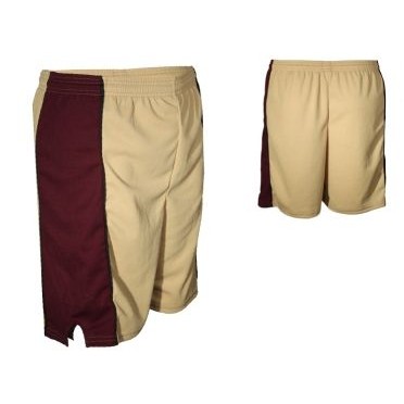 Adult Cool Mesh Short w/Contrasting Side Panel & V-Notch (9" Inseam)