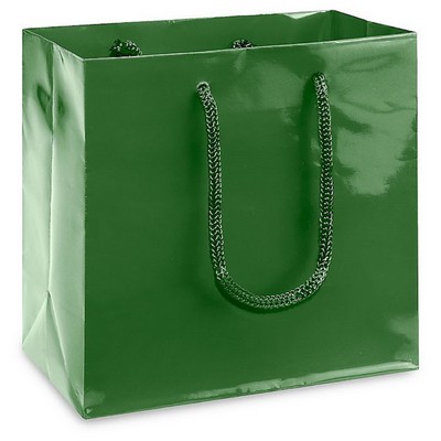 European Shopping Bags - Gloss - Rope Handle (5"x3"x13")