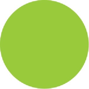 Fluorescent Green Circle Labels - 3/4" Diameter