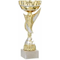 10" Assembled Gold/Silver Cup Trophy