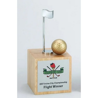 Player's Choice Award, 8 7/8"H