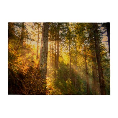 Burney Woods CA by Kelly Wade Painting Print on decorative wood wall décor