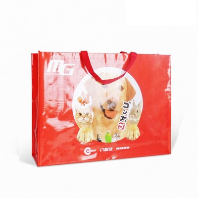 Waterproof Promotional Shopping Bag