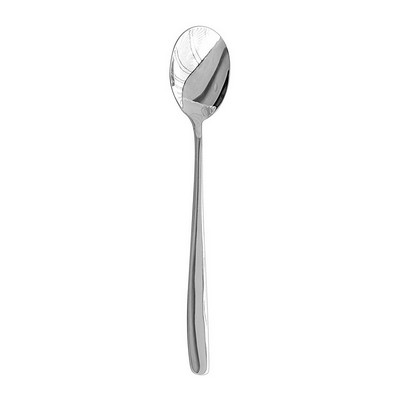 Stainless Steel Spoon