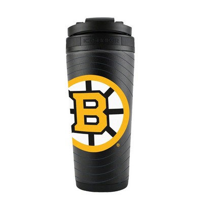 NHL Officially Licensed 4D Ice Shaker Boston Bruins