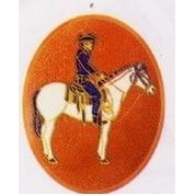 Western Rider Cloisonne Western Belt Buckle