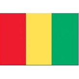 4'x6' Guinea U.N. Nylon Outdoor Flag - Style A