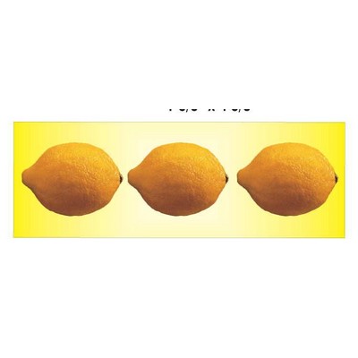 Lemon Panoramic Metal Photo Magnet