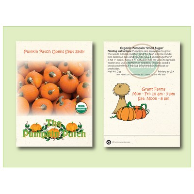 Organic Pumpkin Sugar Pie Seed Packet (3.25" x 4.5")