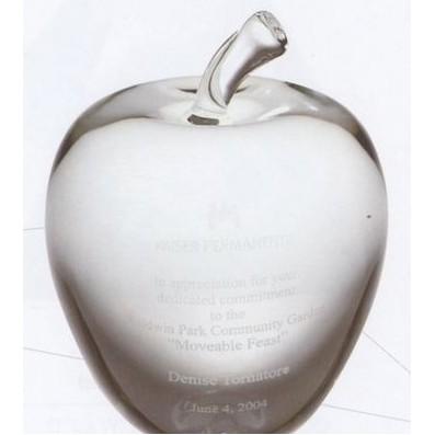 Large Optical Crystal Smooth Apple Paperweight