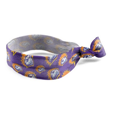 Custom Hair Tie-Solar Bears Example