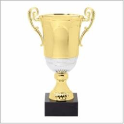 18" Gold Metal Cup Winner Award