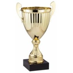 16" Assembled Gold Cup Trophy