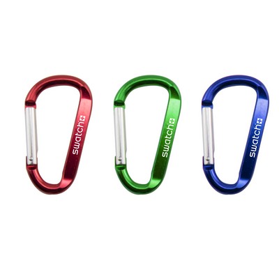 Carabiner Clip Keychain