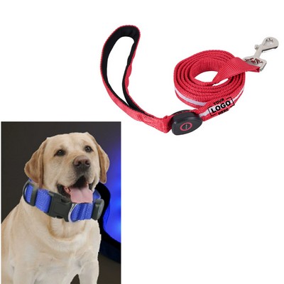 LED Light-Up Dog Leash