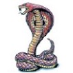 Cobra Snake Stock Temporary Tattoo