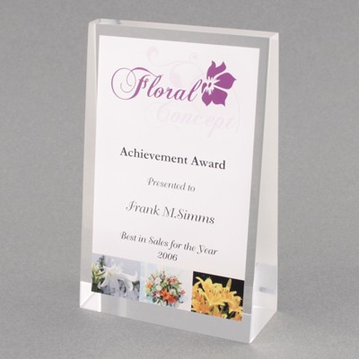 Acrylic Wedge 1 Award (4"x 5"x 1-1/2")