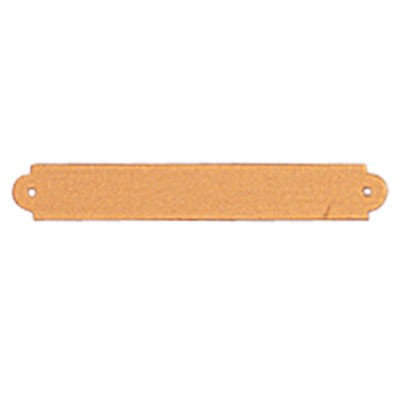 Satin Brass Plate w/Notched & Rounded Corners & 2 Holes (2½" x 3/8")