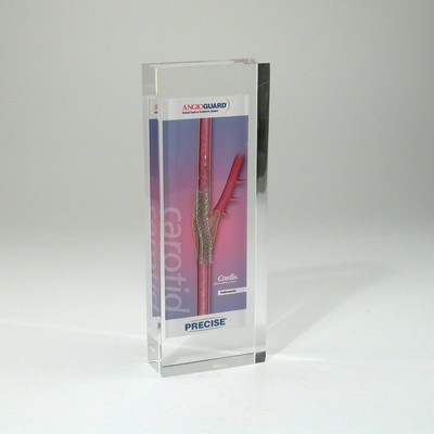 Rectangle Lucite® Embedment Award (2 1/2" x 6 5/8" x 1")