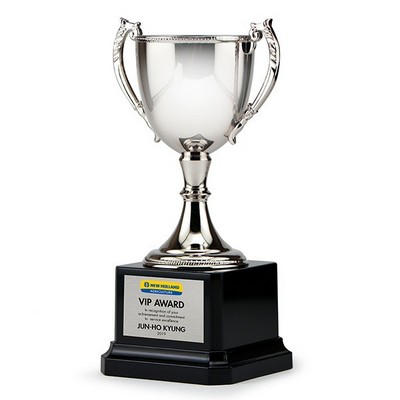 6¾" Tall Silver Zinc Cup Trophy on Plastic Base