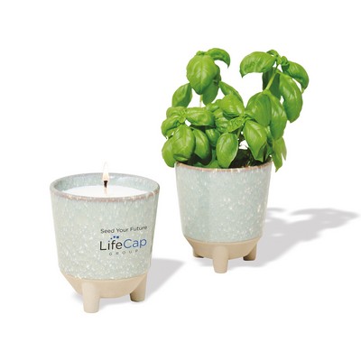 Modern Sprout® Glow & Grow Live Well Gift Set - Blue Green: Herb Garden w- Basil Seeds