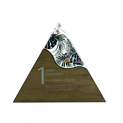 Triangle Acrylic & Wood Award