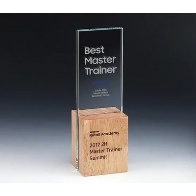 Incync Tower Award, 10"H