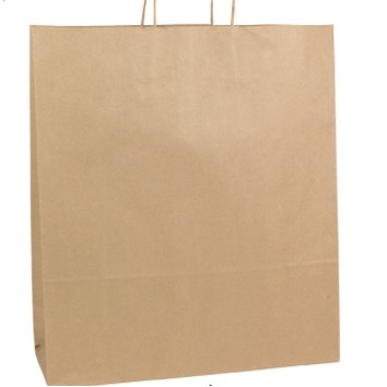 Zebra Natural Kraft Brown Paper Shopping Bag