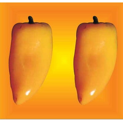 Yellow Chili Pepper Metal Photo Magnet (2 1/2"x2 1/2")